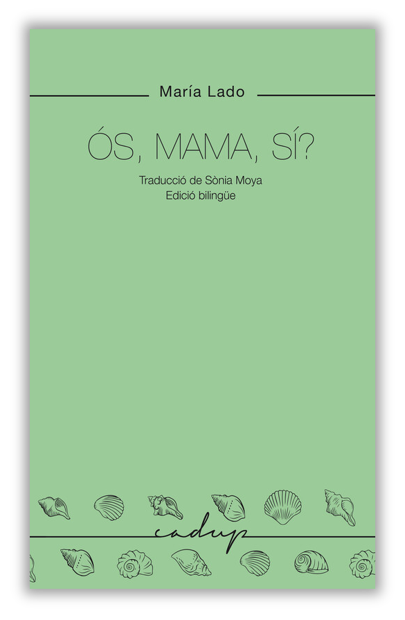 llibre6